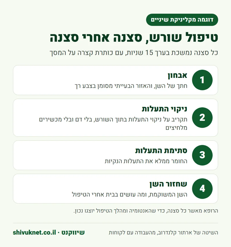 ארבע הסצנות של סרטון הסבר על טיפול שורש, מאבחון ועד שחזור השן