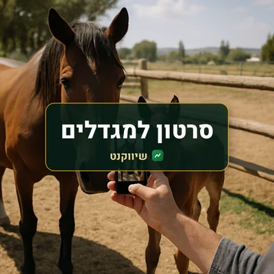 סרטון למגדלים: סוסה וסייח במכלאה שטופת שמש ליד גדר עץ, והמגדל מצלם אותם בטלפון